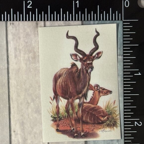 🌀10/$10🌀 Classic Hoofed Beasts Reusable Washi Sticker Decal - Picture 1 of 1